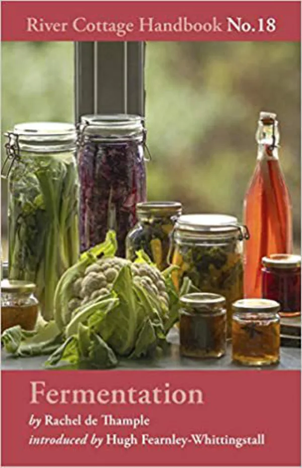 Fermentation: River Cottage Handbook No.18